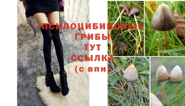 марки nbome Богданович