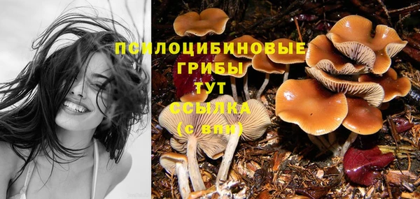 сатива Богородицк