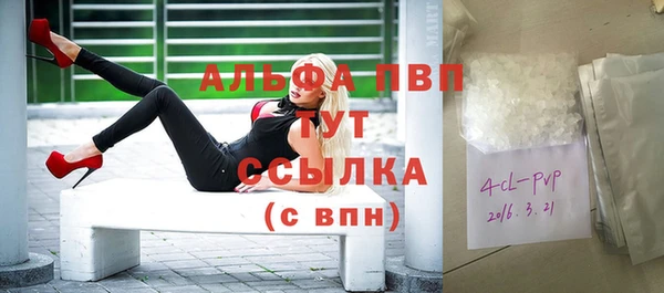 сатива Богородицк