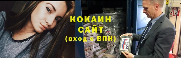 сатива Богородицк