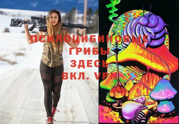 марки nbome Богданович