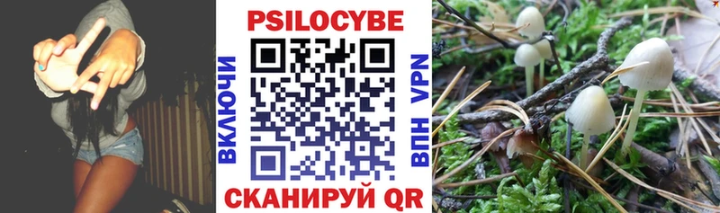 Купить где  Бородино  Псилоцибиновые грибы MAGIC MUSHROOMS 